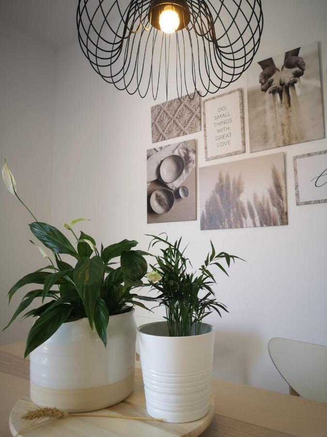 Apartamento Suite Arco De La Villa,Solo Familia Y Parejas,Parking Gratuito Conil De La Frontera Bagian luar foto